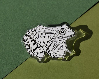 Southern Leopard Frog Acrylic Pin. 2x1.5"