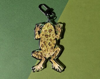 Southern Leopard Frog. Keychain Charm. Gator. 3.5x2"