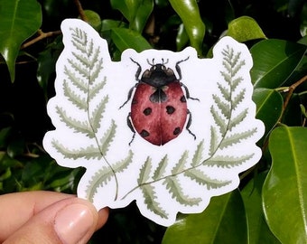 Ladybug & Ferns Forest Sticker. Hand Drawn. Watercolor Illustration. Waterproof Vinyl. 3x3"