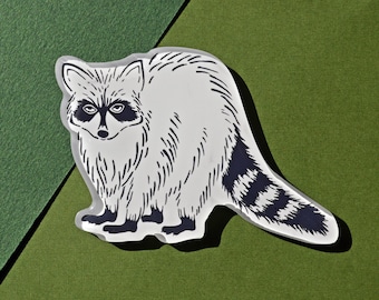 Trash Panda Acrylic Magnet. Raccoon. 3x2"