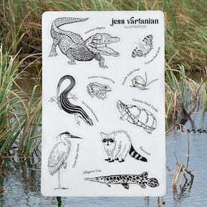 Florida Wildlife Sticker Sheet. Gator. Raccoon. Alligator Gar. Frog. Snail. Hand Drawn. Ink Illustration. Waterproof Vinyl. 4x6"