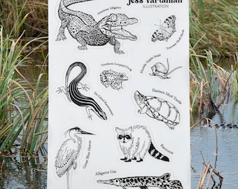 Florida Wildlife Sticker Sheet. Gator. Raccoon. Alligator Gar. Frog. Snail. Hand Drawn. Ink Illustration. Waterproof Vinyl. 4x6"