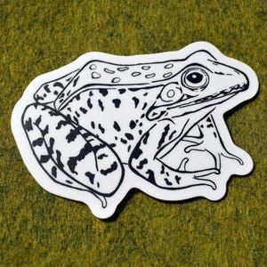 Southern Leopard Frog Sticker. Hand Drawn. Ink Illustration. Matte Waterproof Vinyl. 3x2.5"