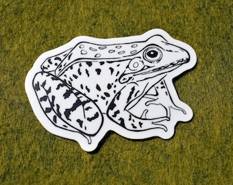 Southern Leopard Frog Sticker. Hand Drawn. Ink Illustration. Waterproof Vinyl. 3x2.5"