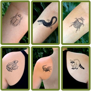 Wild Florida Temporary Tattoo Pack of Five. Baby Gator. Alligator. Raccoon. Beetles. Southern Leopard Frog. Six Lined Racerunner. image 2