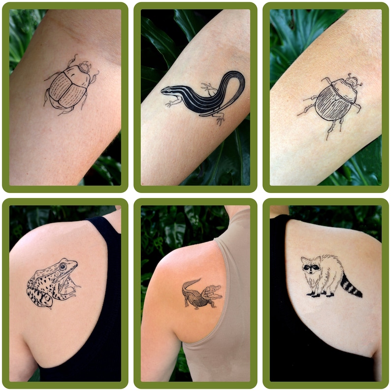 Wild Florida Temporary Tattoo Pack of Five. Baby Gator. Alligator. Raccoon. Beetles. Southern Leopard Frog. Six Lined Racerunner. image 2