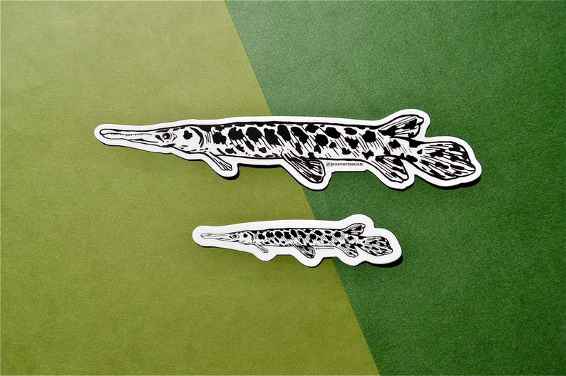 Alligator Gar Fish. Jumbo Sticker. Hand Drawn. Ink Illustration. Matte ...