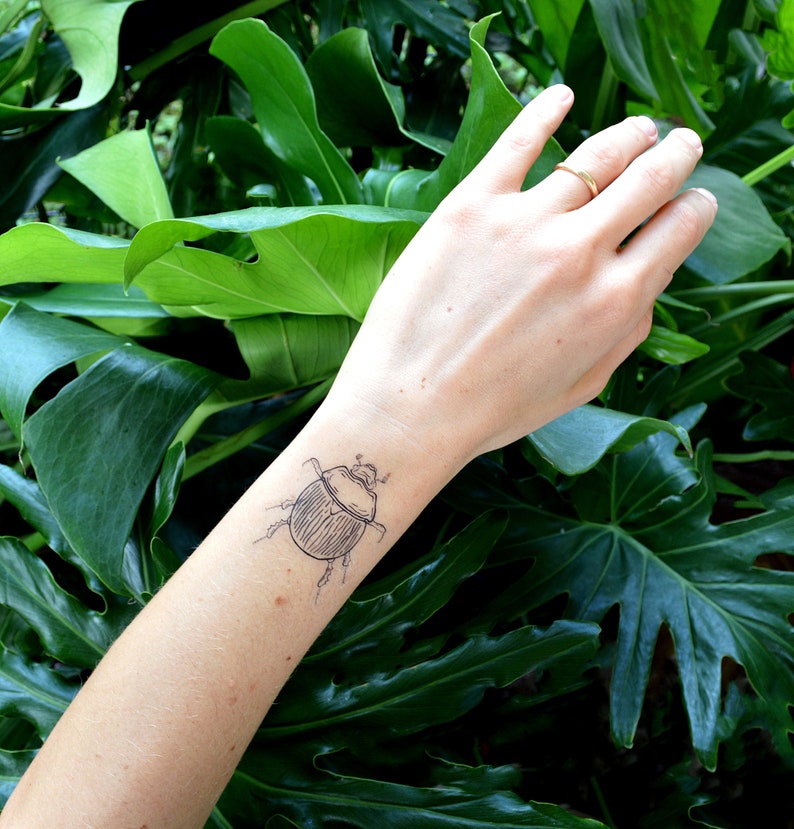 Wild Florida Temporary Tattoos beetle bugs herpetology stickers gator alligator raccoon lizard southern leopard frog drawing illustration green plants leaves