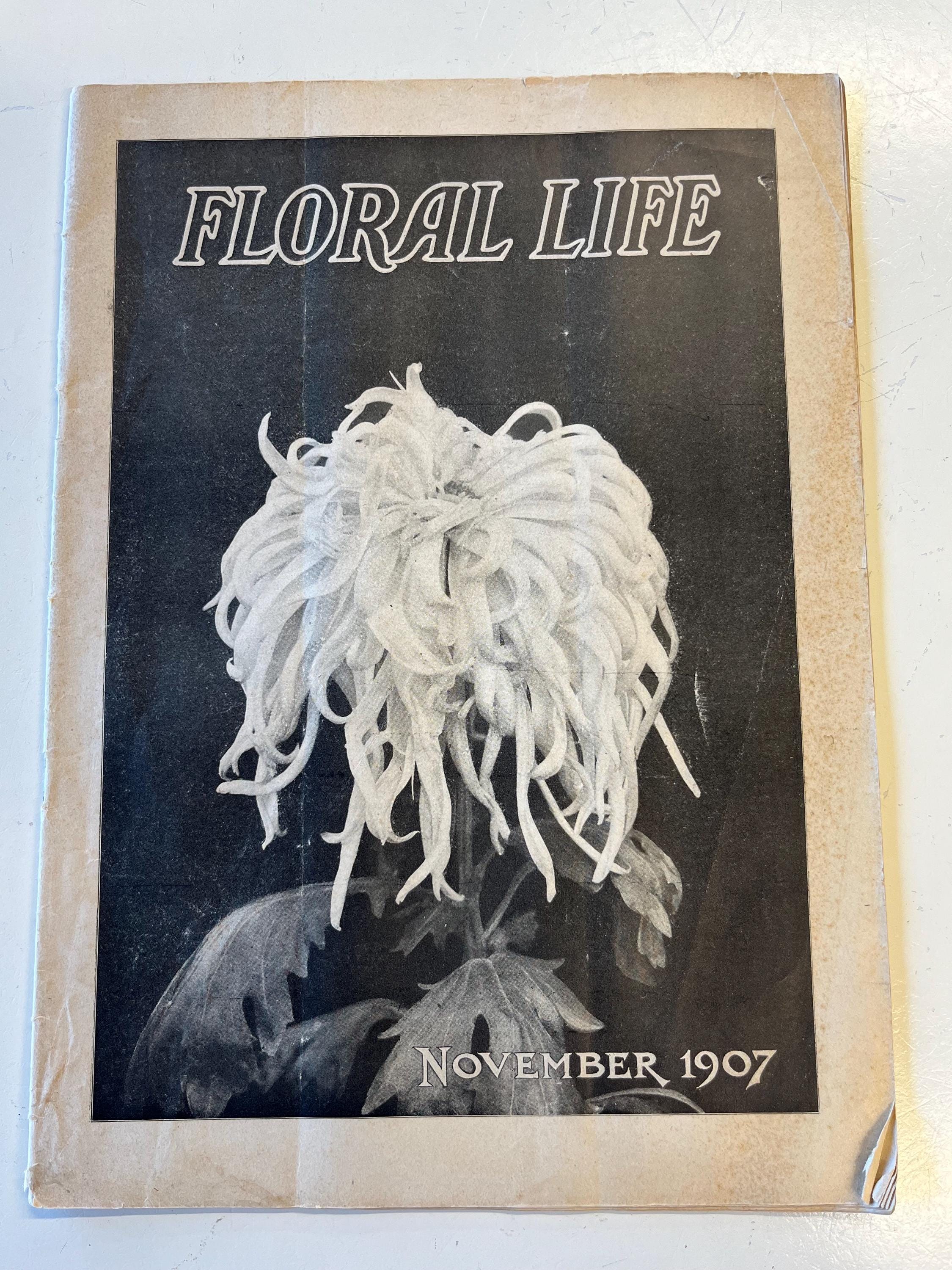 Life Magazines Back Issues - Etsy