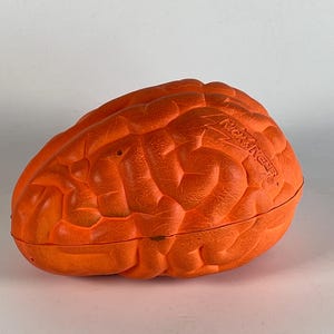 May include: An orange brain-shaped toy with a textured surface. The toy has the text "NICKENGER" embossed on its side. The toy is made of a solid material and is designed to resemble a human brain.