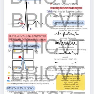 May include: An educational poster with the title "Electrocardiogram" features diagrams and text explaining ECG wave basics, heart anatomy, and common abnormalities. The poster includes a heart illustration and color-coded sections for easy understanding.