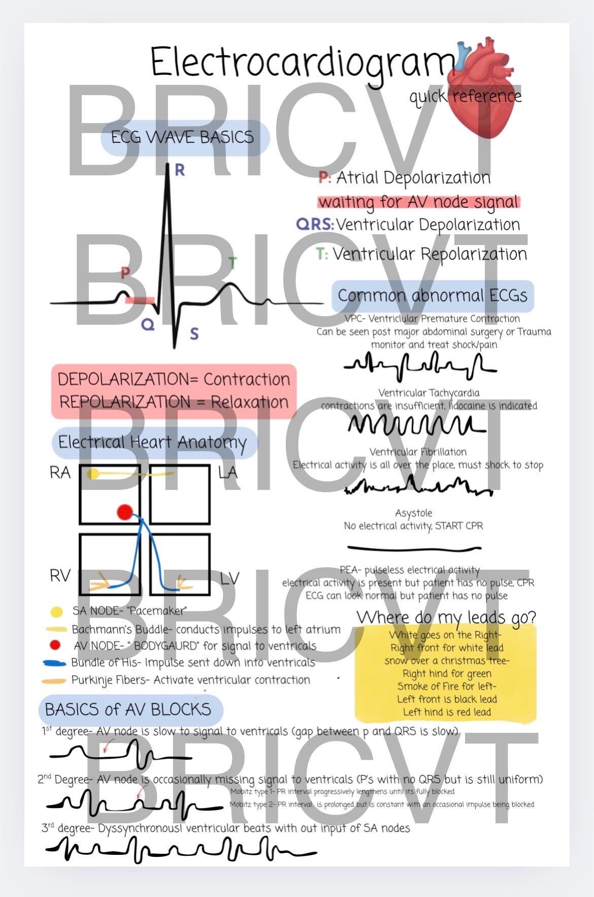 ECG Quick Reference Sheet - Etsy Australia