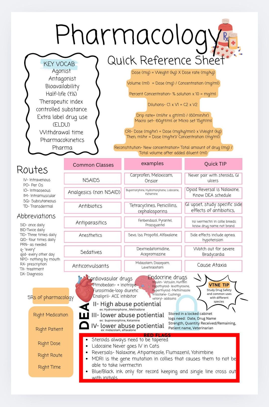 VTNE Pharmacology Study Guide - Etsy