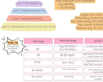 VTNE surgical nursing quick reference