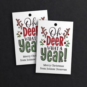 2020 Christmas Gift Tag funny, Editable Gift Tag, oh deer what a year tag, Christmas tag template, printable gift tag