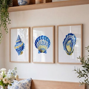 Könnte beinhalten: Drei gerahmte Kunstdrucke mit Aquarell-Illustrationen von Muscheln. Die Muscheln sind in Blau-, Gelb- und Weißtönen gehalten und weisen detaillierte Muster auf. Die Rahmen sind aus hellem Holz, was einen maritimen Dekorationsstil ergibt.