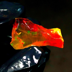 May include: A vibrant, raw opal gemstone with a fiery display of color. The opal features a mix of red, orange, and yellow hues, with hints of green. The rough, uncut stone is held against a dark background, highlighting its natural beauty.
