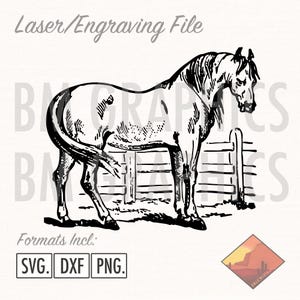 Könnte beinhalten: Schwarz-weiß Laser-Gravur-Datei eines Pferdes, das in der Nähe eines Zauns steht. Das Bild enthält den Text "Laser/Engraving File" und "Formats Incl: SVG, DXF, PNG."