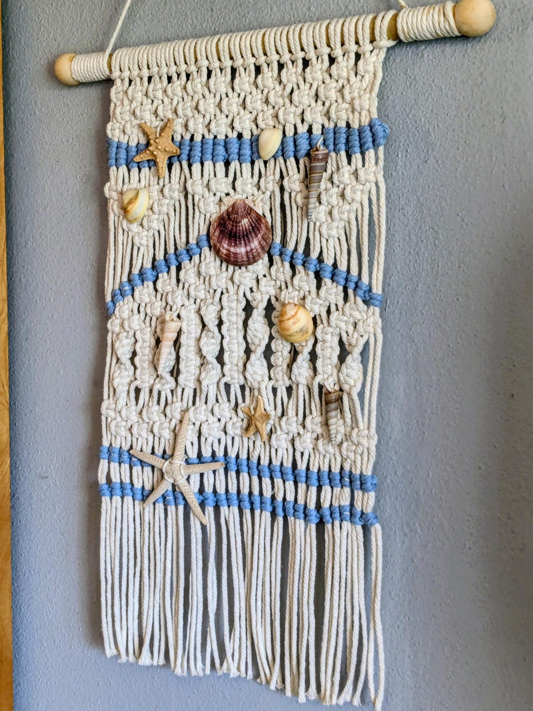 Shell For Wall Beach Wall Decor With Shells---m200 - Etsy