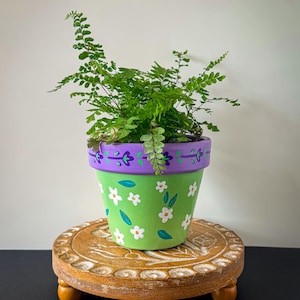 May include: A green terracotta plant pot featuring a hand-painted pattern of small white flowers and teal leaves. The rim is painted purple with a decorative blue floral vine design. A green fern plant is potted inside the container.