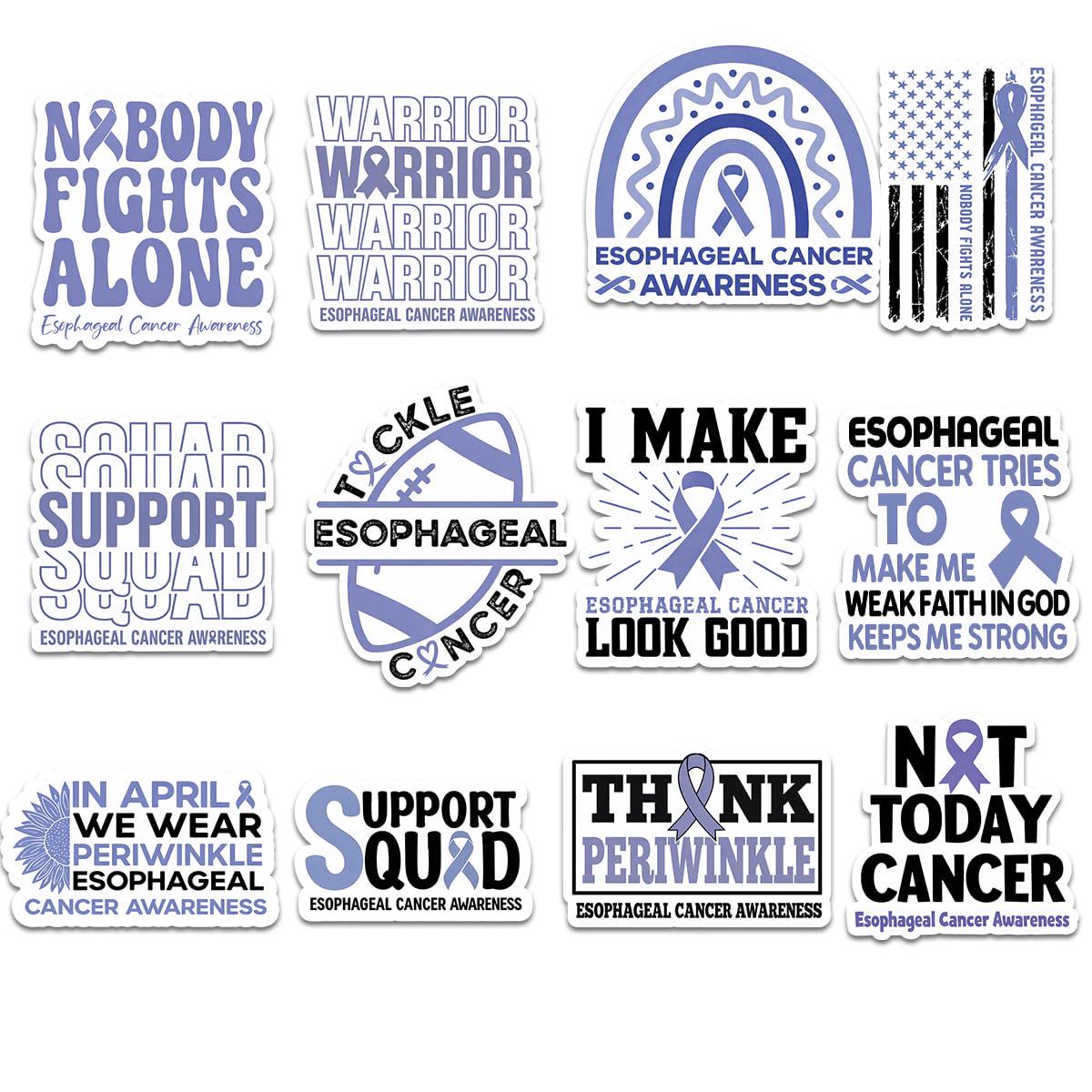 Cancer Sucks Sticker - Cancer Awareness Vinyl Decal for Cars & Trucks Cancer Sucks Sticker - Cancer Awareness Vinyl Decal for Cars & Trucks