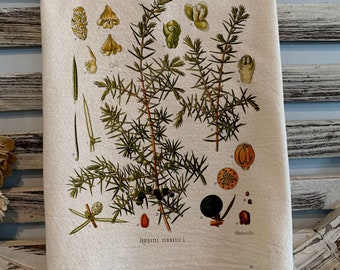 Flour sack towel Botanical juniper