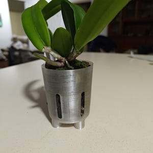 May include: A small potted plant with vibrant green leaves. The plant is in a brushed metal pot with drainage holes and three small feet. The pot sits on a light-colored surface.
