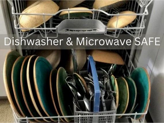 Set of 2 Microwave Safe Picnic Bowls