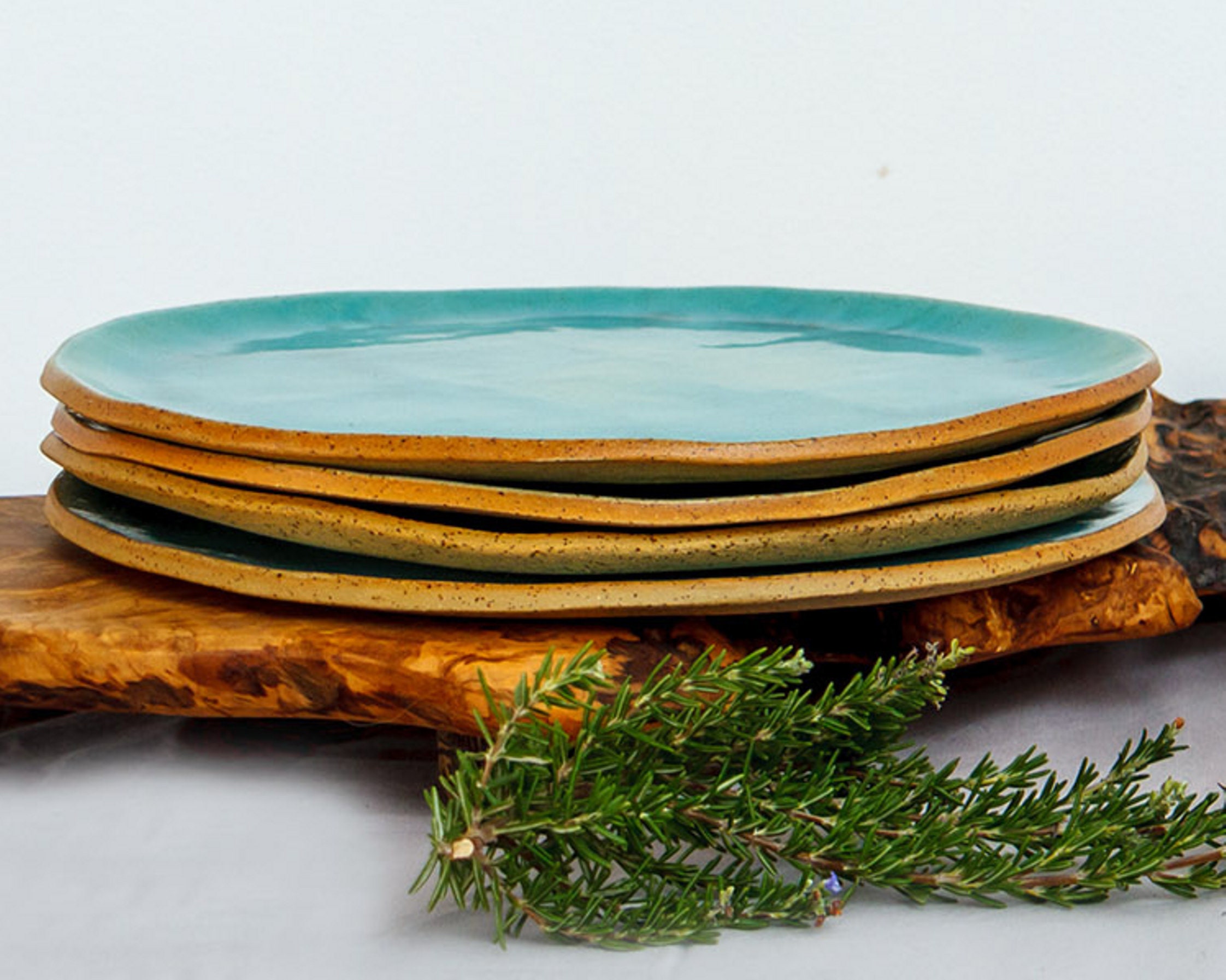 Large Dinner Plate Set Ceramic Dinnerware Plate Set of 2 Etsy