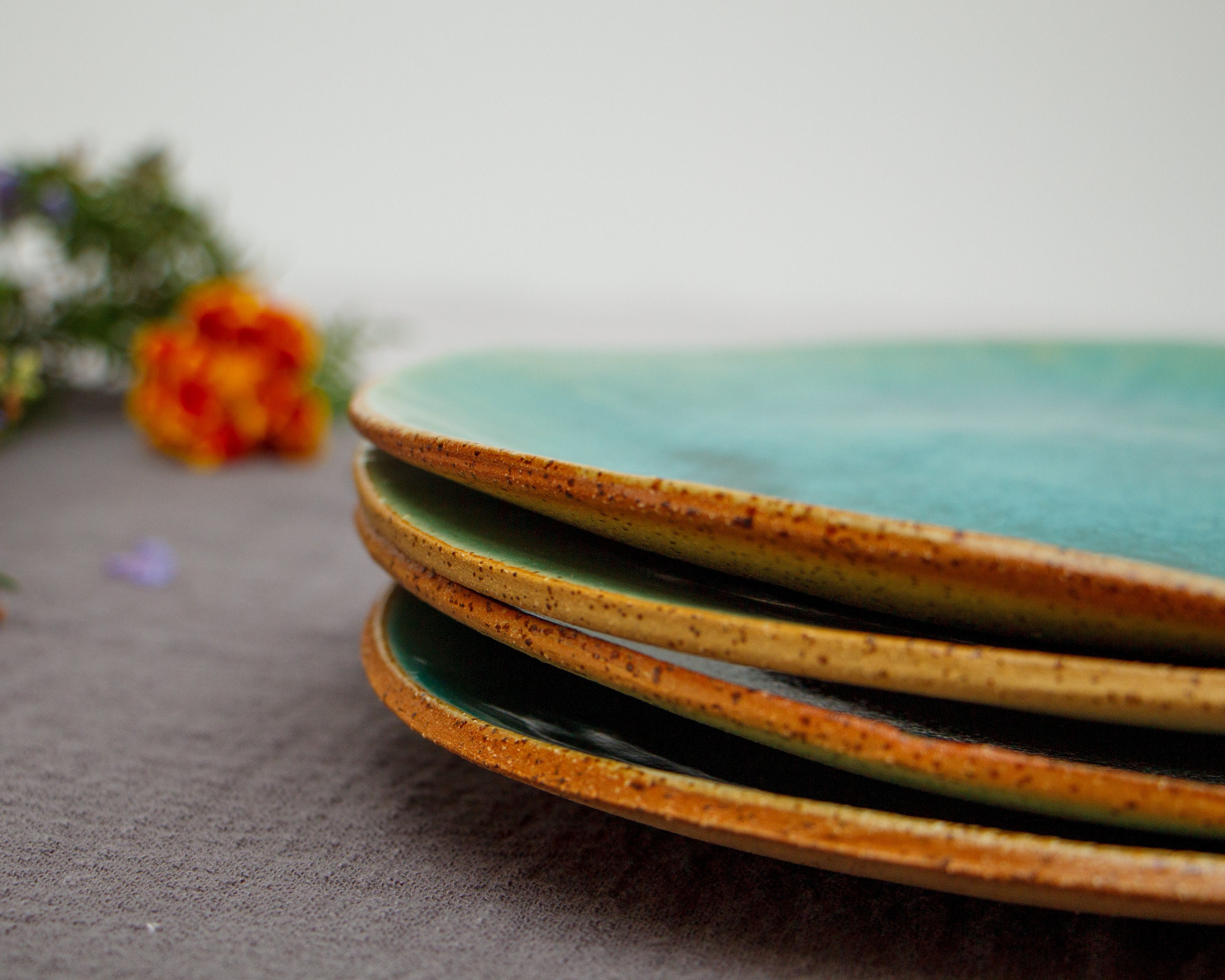 Stoneware Plate Set of 6 Dinnerware Set Pottery Plates for Etsy
