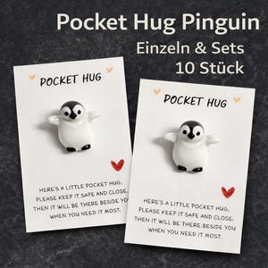 Pocket Hug Pinguin – Kleine Umarmung zum Mitnehmen – Trost Geschenk mit Karte – Mutmacher – Geschenk mit Bedeutung – Liebe – Valentinstag