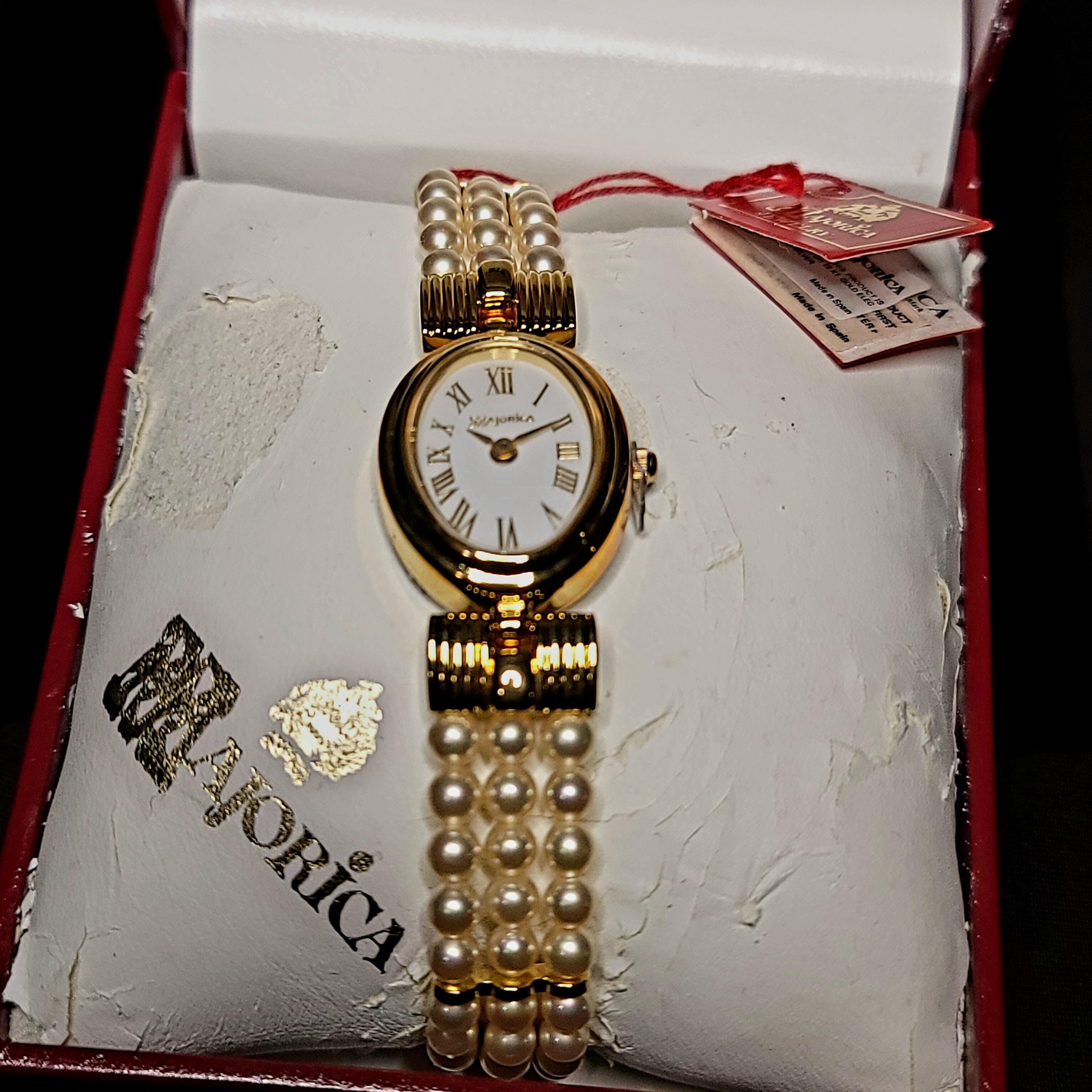 ビカクシダ P.Gold Pearl OC 謎多きビカク、P.Gold Pearlの成長記録