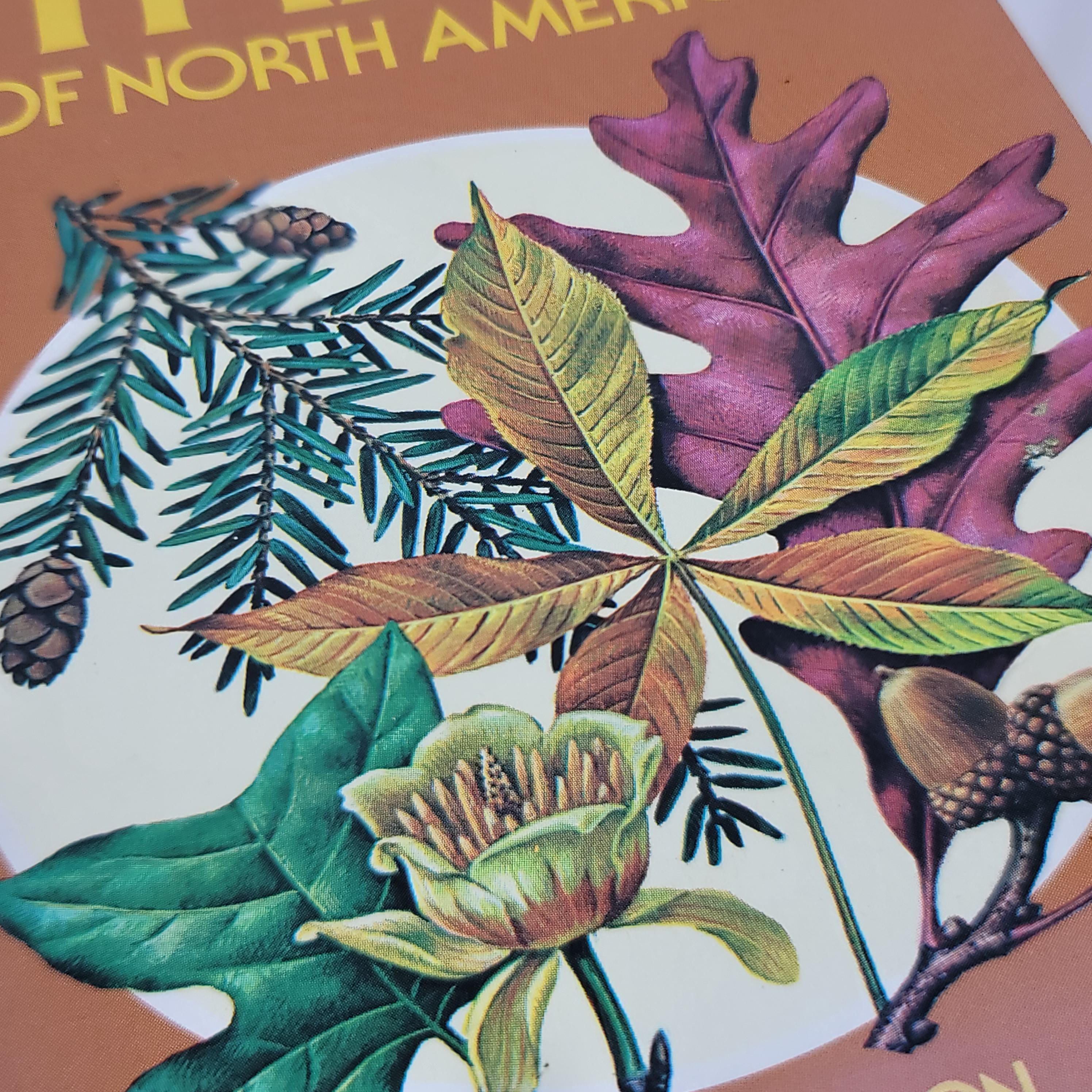 1986 Field Guide Trees of North America Identification Book - Etsy