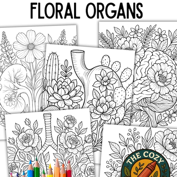 Human Anatomy Printable - Etsy