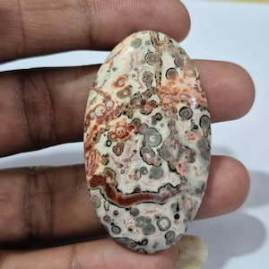 Natural Leopard skin jasper Cabochon | Handmade Leopard skin jasper Wholesale Loose Gemstone Lot| Natural Leopard skin jasper Gemstone Lot