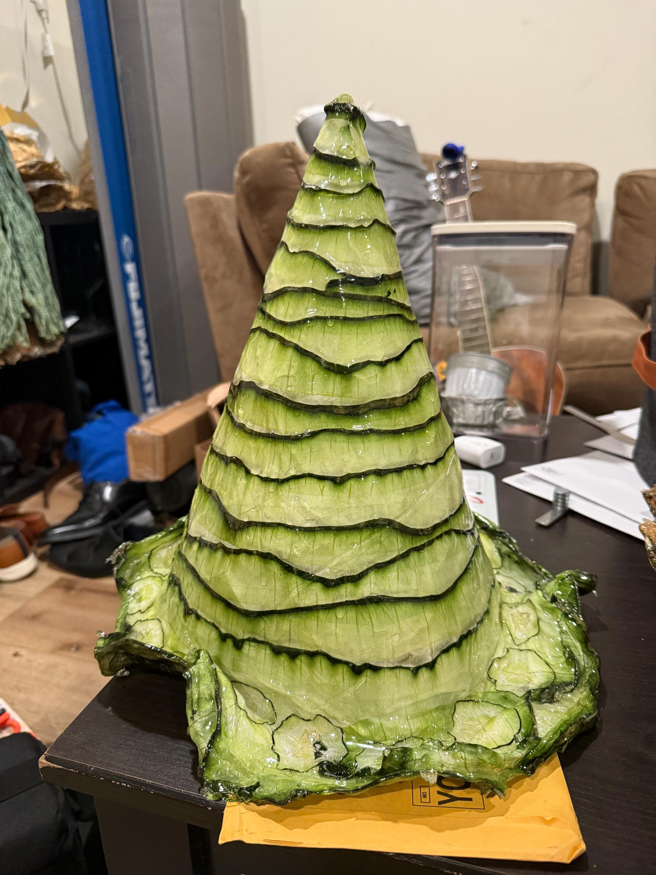 Hat Made Entirely Out of dried Cucumber(Preserved)