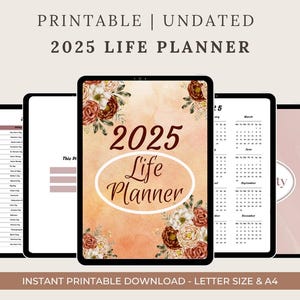 All in one Life planner google sheets Productivity Planner Budget Tracker To Do List Template Calendar Habit Goal Tracker Digital Organizer