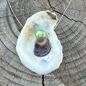 Natural Oyster Shell Necklace Handmade Real Shell Pendant Oyster Shell on Stainless Steel Wire Coastal Gift for Her Beach Bridal Gift
