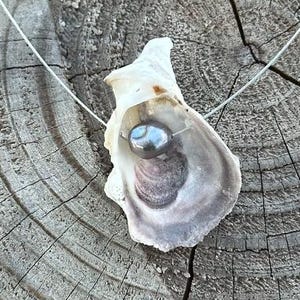 Natural Oyster Shell Necklace Handmade Real Shell Pendant Oyster Shell on Stainless Steel Wire Coastal Gift for Her Beach Bridal Gift