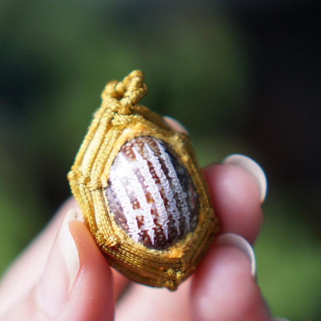 Shell Amulet Golden Thai Cowrie Shell Amulet “bia Kae” Protection Lucky Charm for ...