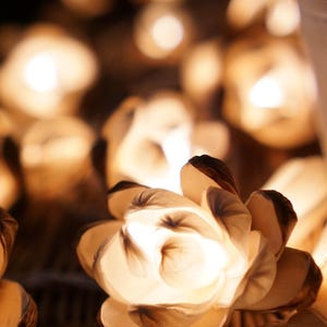 May include: Close-up of illuminated flower-shaped string lights. The petals are a light beige color with darker brown edges, and the lights inside glow warmly. The background is blurred, with other similar lights.