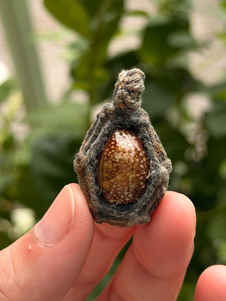 Sacred Bia Kae Shell Amulet – Powerful Thai Talisman for Protection & Fortune image 1