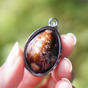Puede incluir: Un colgante con una concha pulida en forma de lágrima, engastada en un marco de metal plateado. La concha tiene un patrón moteado marrón y blanco. El colgante tiene un pequeño lazo en la parte superior para una cadena.