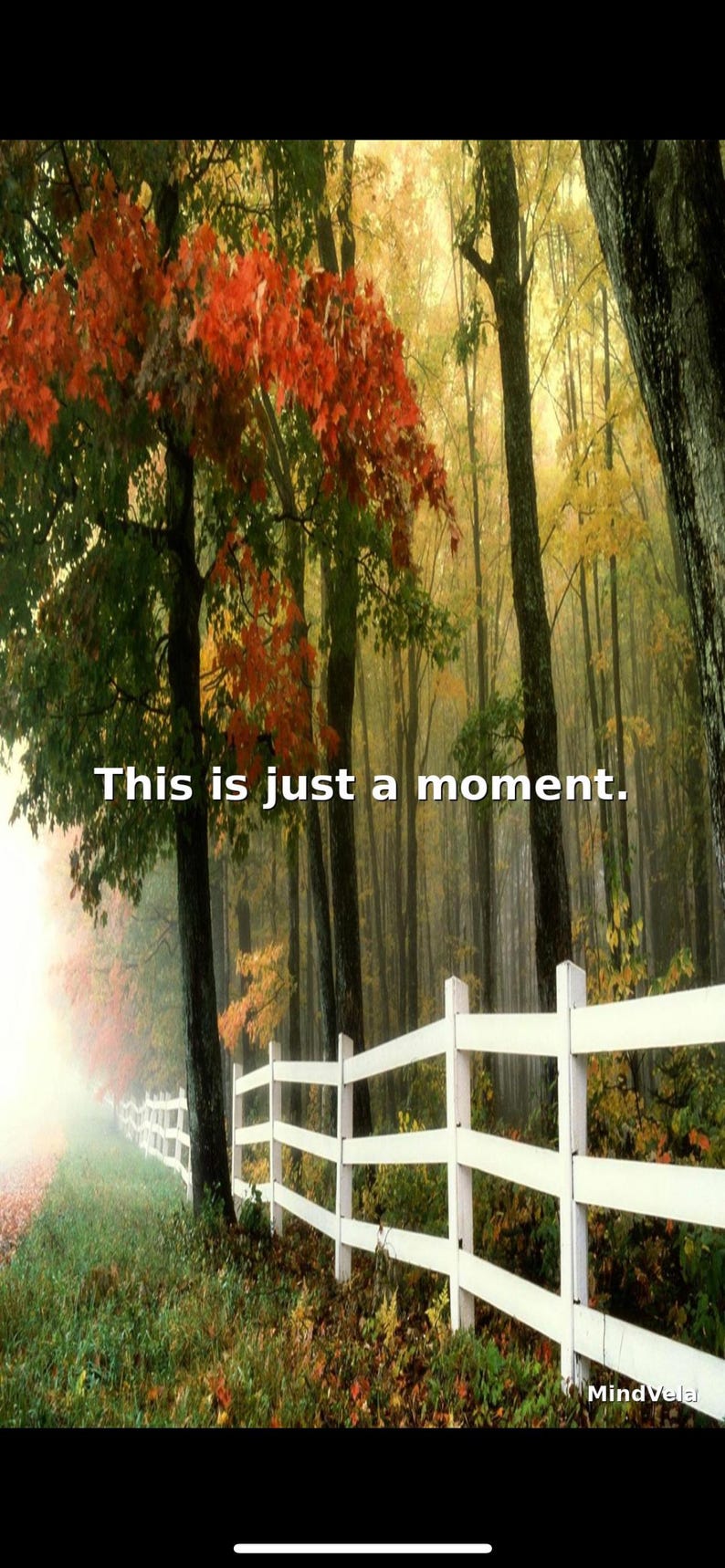Calm Phone Wallpapers – Aesthetic Lock Screen Backgrounds With Positive ...