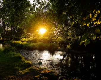 Follow the River
