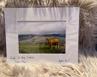 Irish Animals and Wildlife Photography Print (Matted & Signed)