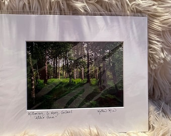 Irish Forests and Mountains Photography Print (Matted & Signed)