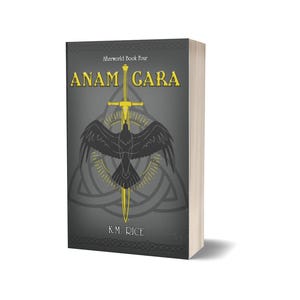 Anam Cara (Afterworld Book Four)