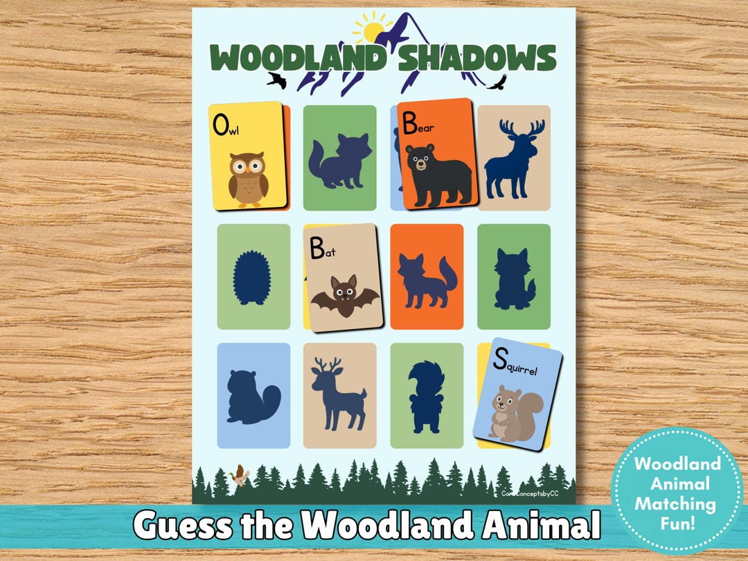 Woodland Animals Matching Game | Preschool Shadow Match Activity - Etsy