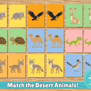 Puede incluir: Un conjunto de doce pares de tarjetas rectangulares con ilustraciones de animales del desierto, incluyendo armadillos, buitres, conejos, tortugas, camellos, lagartos, linces, coyotes y correcaminos. El texto dice Match the Desert Animals! y Animal Matching Game (12 pairs).